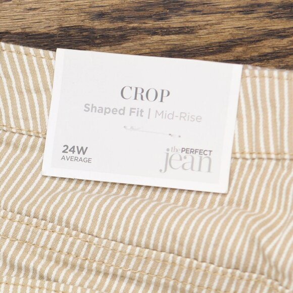 NWT CJ Banks Shaped Fit Mid Rise Pinstripe Jeans 9763 24W Brown / Ivory Stripe - Picture 3 of 6